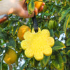 Papaya/ Wild Flower Infused Bath Sponge